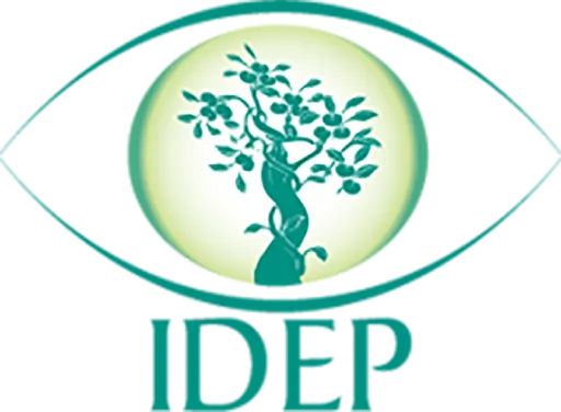 IDEP Foundation